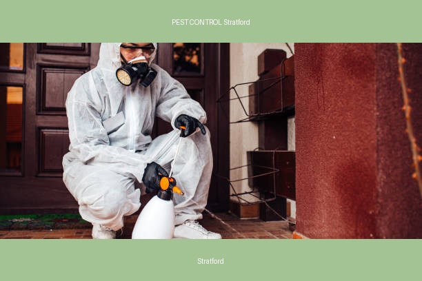 PEST CONTROL Stratford